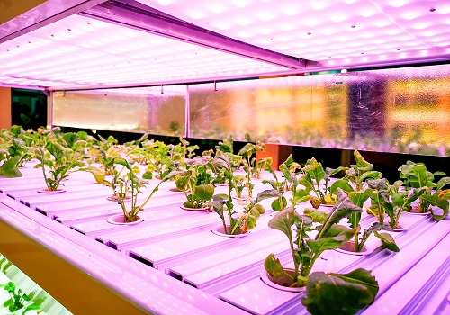 LED植物照明：短期受阻，未來可期